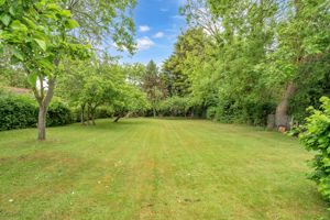 Photo 14- click for photo gallery